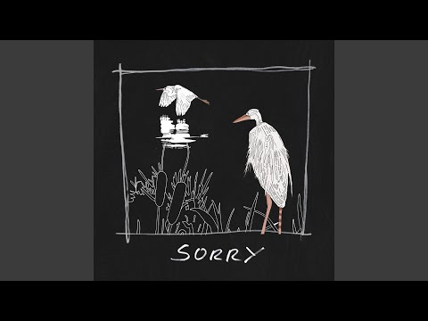 Sorry - Tors