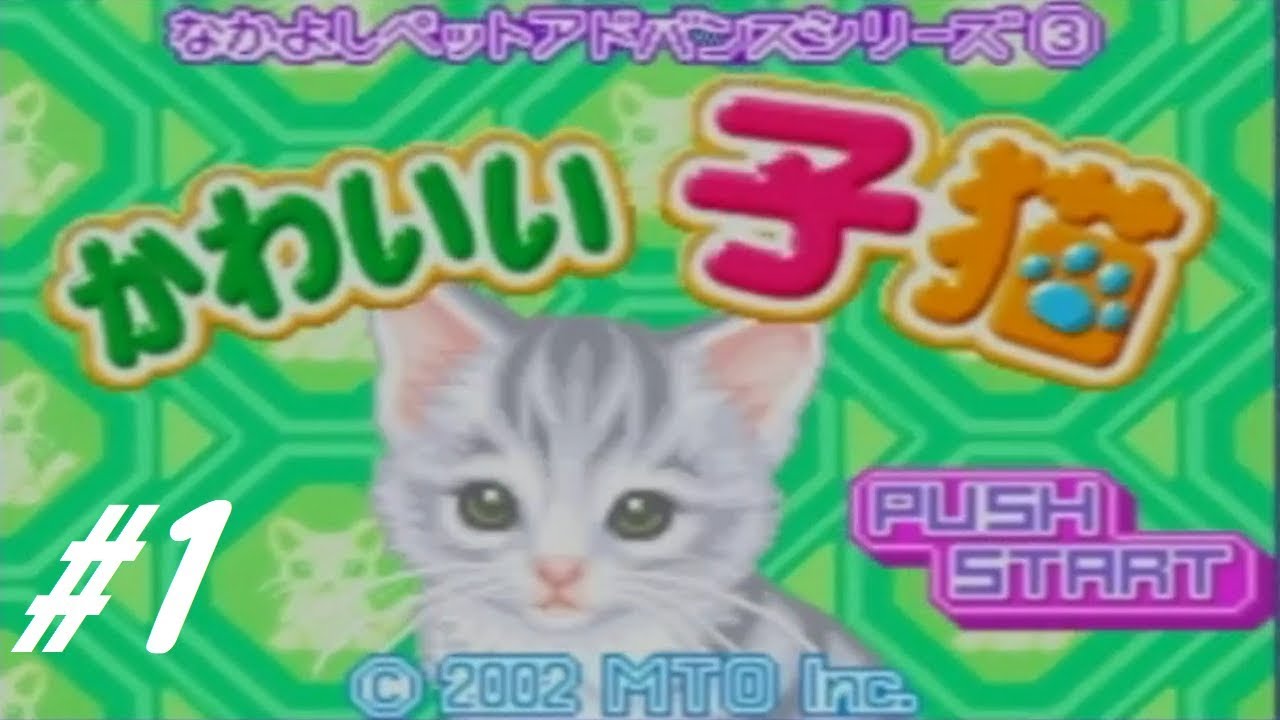 かわいい子猫 猫の癒しは世界を癒す Part1 早川実況 Youtube