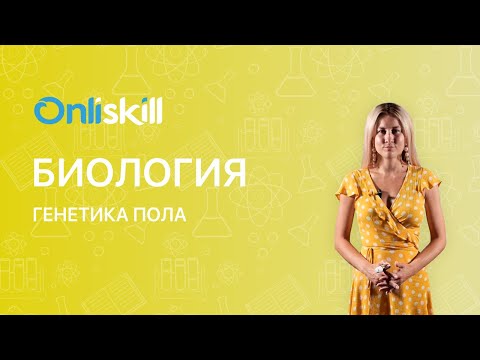 Биология 11 класс: Генетика пола. X и Y хромосомы. Видеоурок