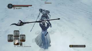 funnin' around with the roaring halberd in the icy cold zone