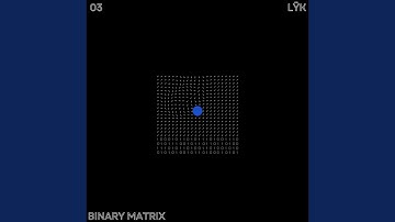 BINARY MATRIX