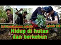 Mencari ramuan herbal di tengah hutan | warta petani muda hidup di hutan