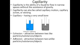 Properties of Fluid (Part III)
