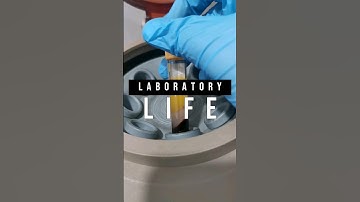 My everyday job as a medical technologist #laboratory #mls #cls #medtechstudent #laboratorylife #rmt