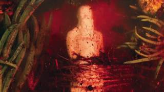 Watch Wreck  Reference Unwant video