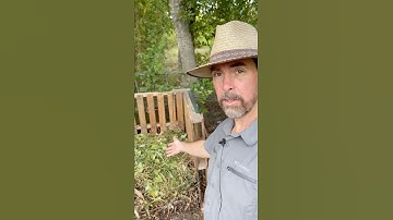 This Is How I Build Healthy Soil For My Vegetable Garden