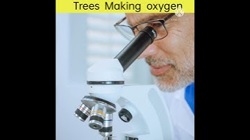 ||How trees making oxygen||🔥🔥||#shorts