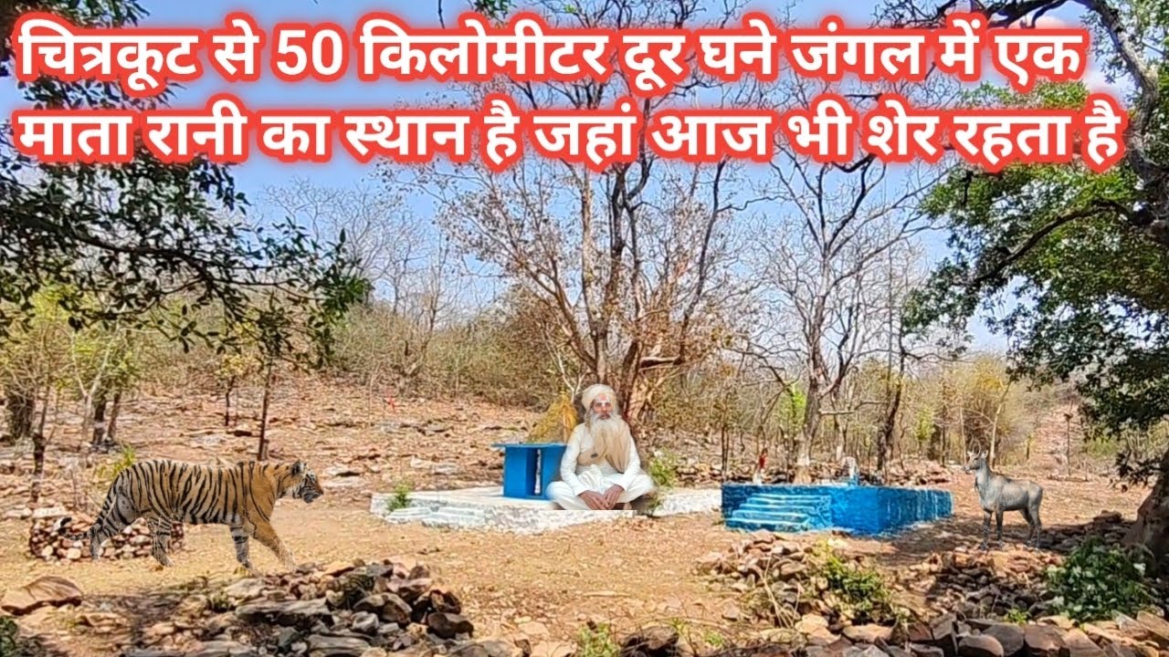 चित्रकूट से 50 किमी दूर घने जंगल में एक माता रानी का स्थान है जहां आज भी शेर आता है