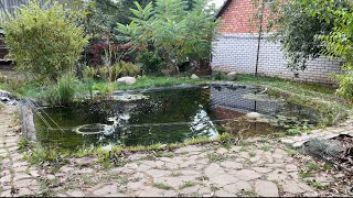 :     !!!###koi