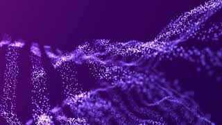 Purple Dots Particles Motion Free Royalty Footage