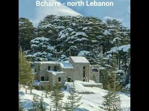 تتلج دني فيروز لبنان