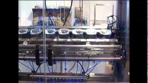 Container Cleaning Equipment - Inverting Air Rinser