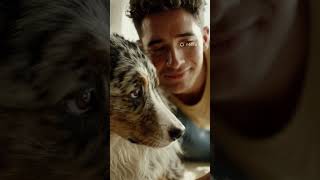 🐾 ¿Por qué tu perro te sigue aunque no lo llames? #perros #mascotas