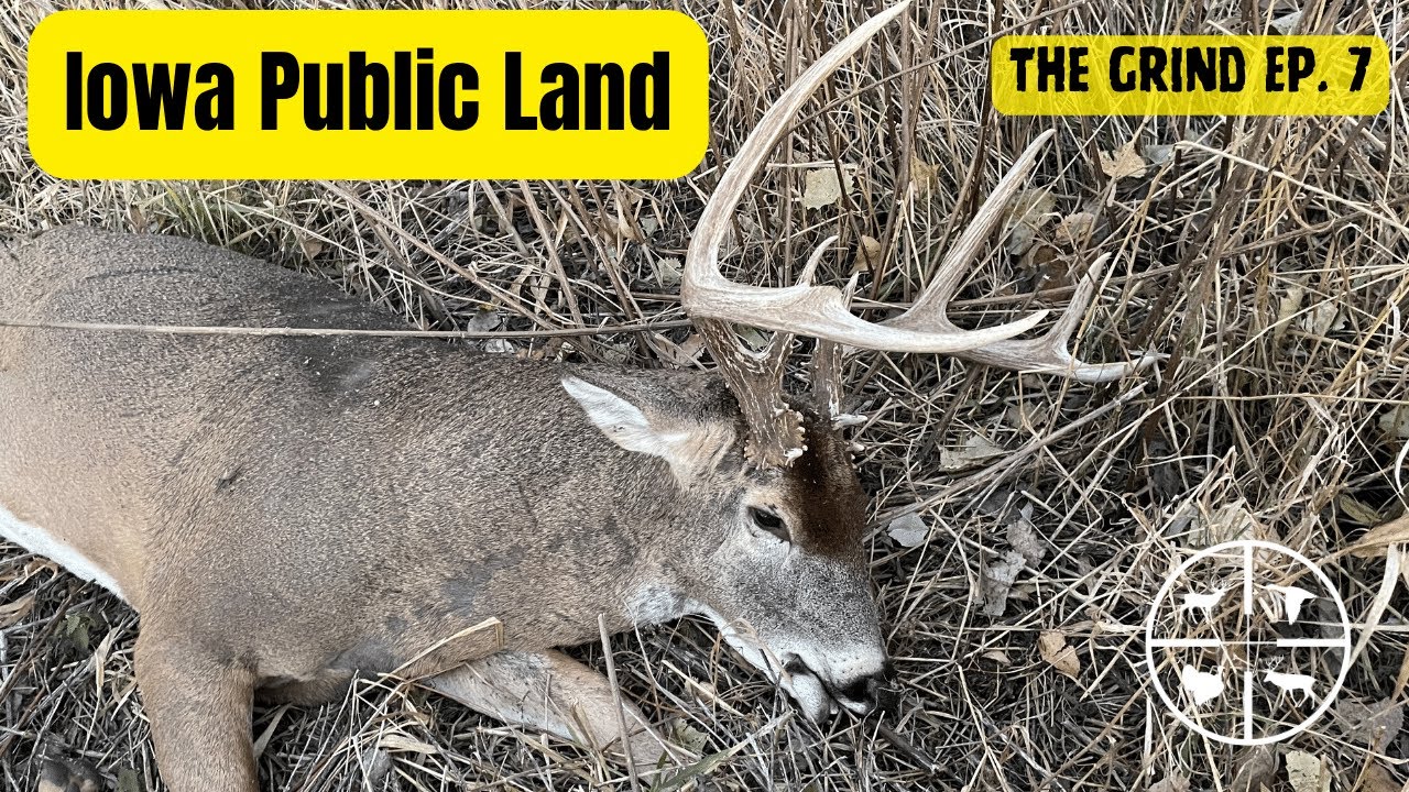 «The Grind» .........общественные земли Айовы
