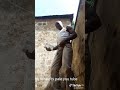 Shetani Ntakupinga 