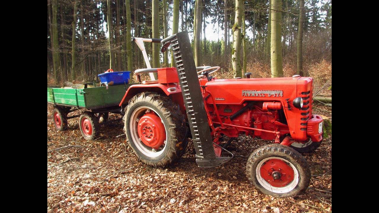 Stihl,  Fiskars und MC Cormick im Wald beim Brennholz machen- Make firewood yourself