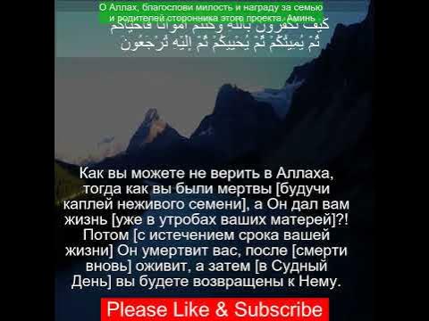Do i look перевод на русский. Do i look перевод на русский