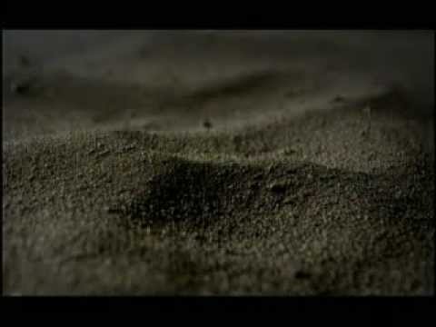 2001 品冠 陪妳一起老