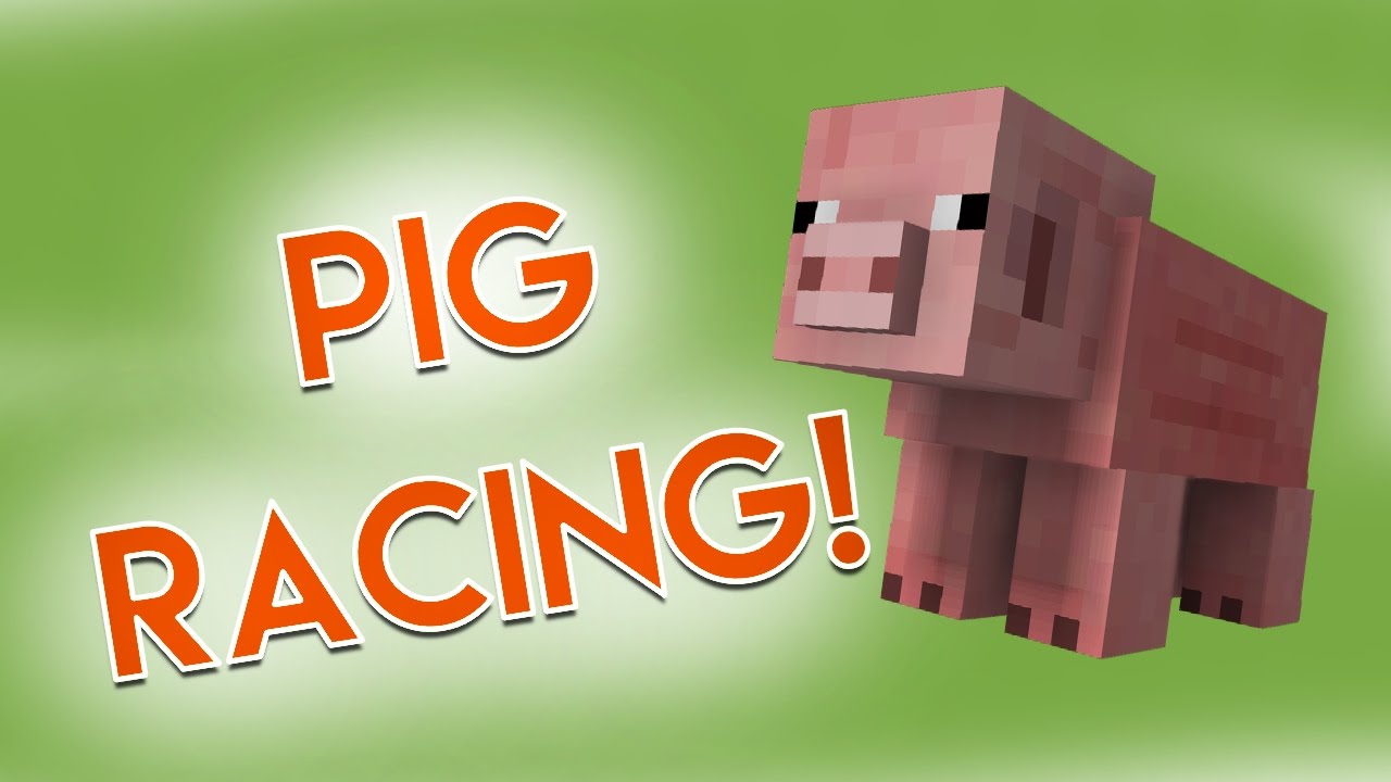 Pig Racing! YouTube