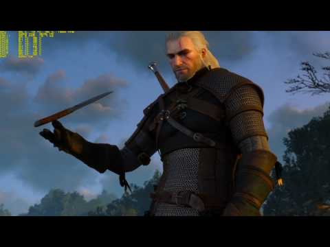 [4K60fps] The Witcher 3 - GTX 1080 Ti Max Settings (Hairworks ON)