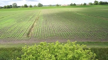 Test ARRIS ZHAOYUN pro 3-Axis Brushless Gimbal 32bit Version