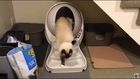 Litter Robot III 3 Open Air Accessories - Ramp, Fence, Litter Bags and Carbon Filters