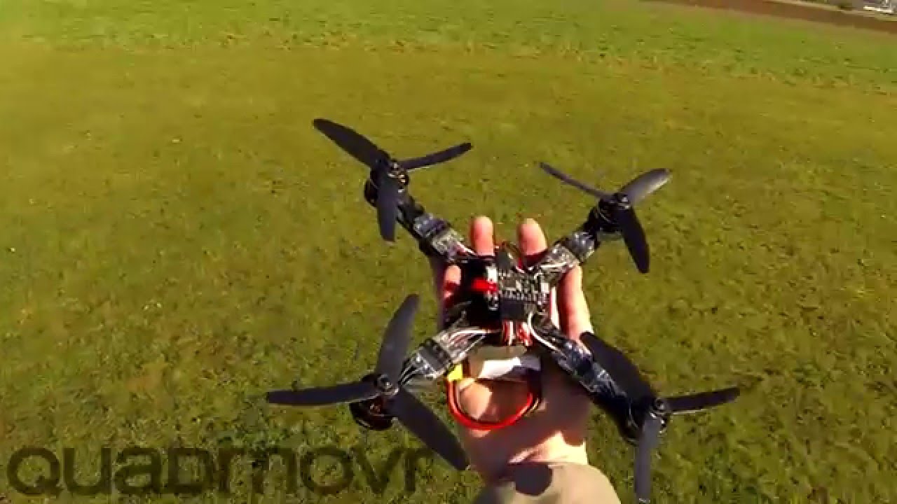 Rapide, très rapide... 