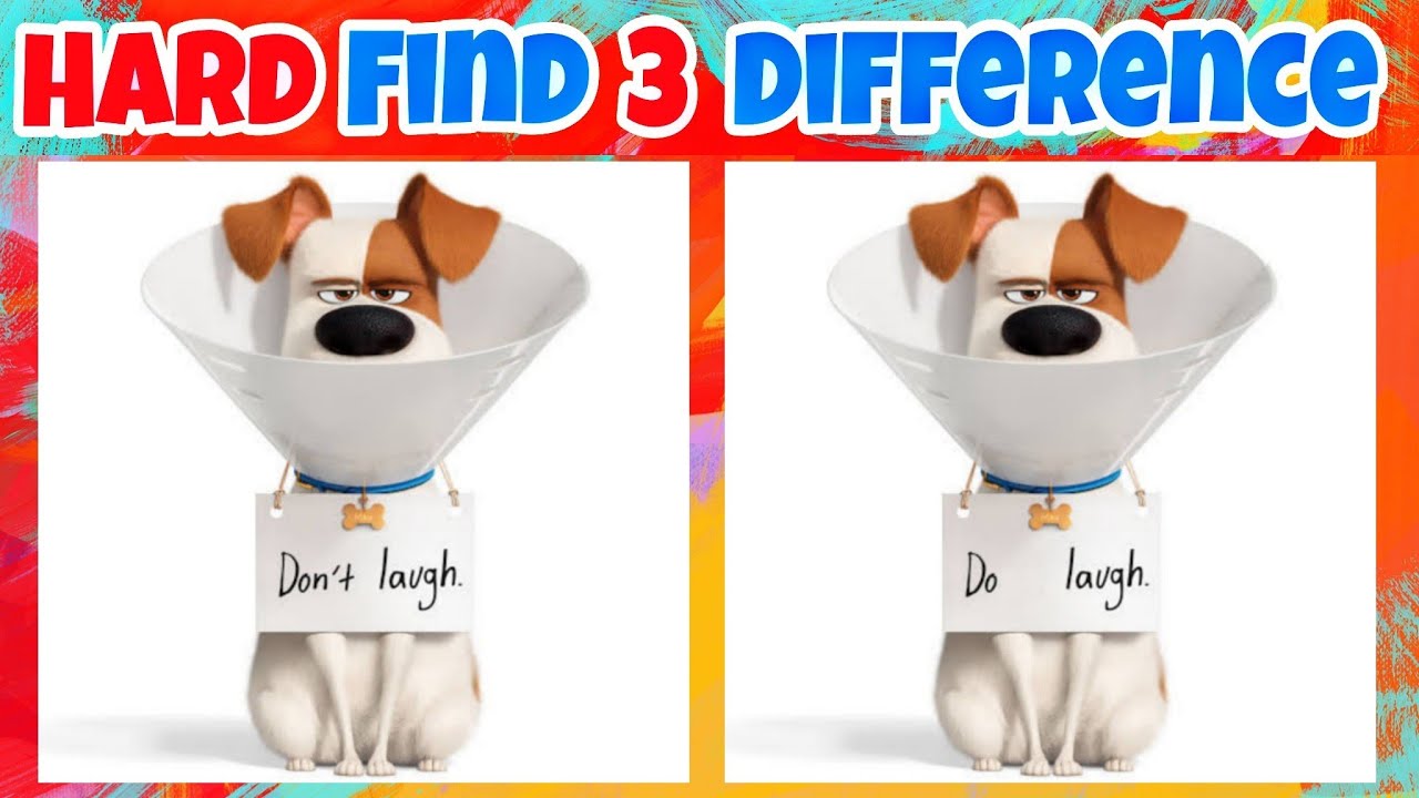 SPOT The DIFFERENCE - The Secret Life of Pets | 100%Fail | Hard Find The Difference - 100
