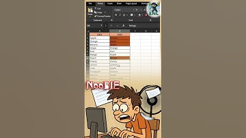 Remove Duplicate Entries in Excel (Pro vs Noob) excelProTips