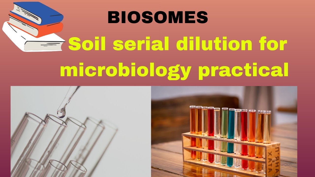 preparation of soul serial dilution for microbiology practical - YouTube