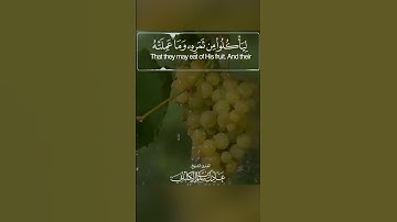 تلاوة تنير القلوب وتاخذك لعالم تاني 🤍🎧#عادل_الكلباني  #اكسبلور