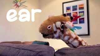 Mr.t Does Phonics With Geraldine The Giraffe - The Ear Trigraph