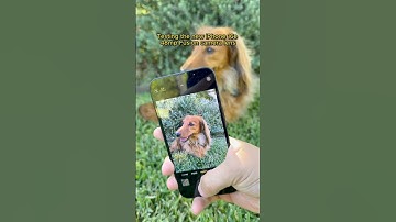 The iPhone 16e has a new 48 megapixel fusion camera lens that takes amazing photos