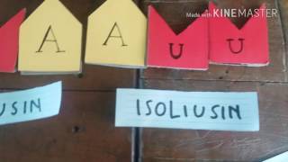 Mutasi Pergeseran Kerangka