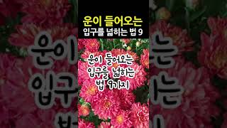 날마다 새로워지는 것이 운을 버는 것이다 #shorts