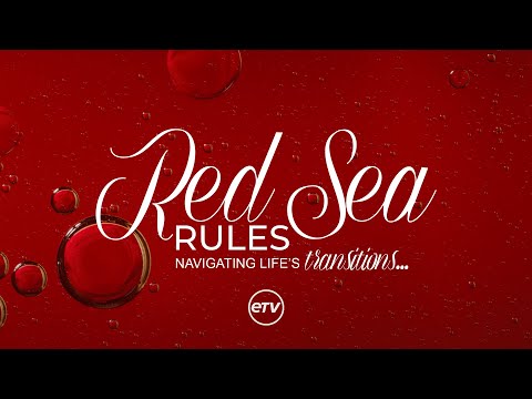 Red Sea Rules | Official Trailer