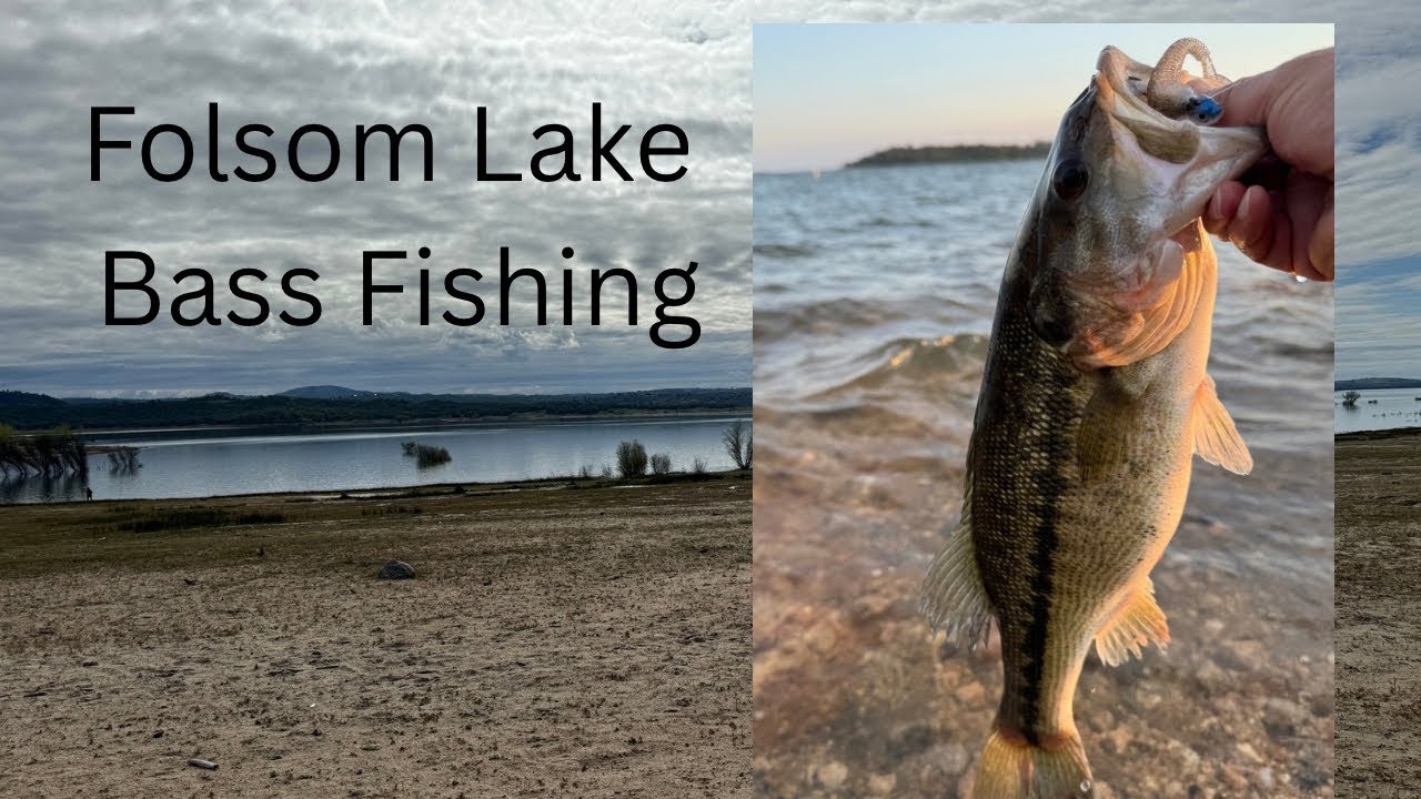 Bass Fishing – Northern California – Folsom Lake – One nice spotted bass plus a few more