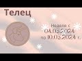 Телец. Гороскоп на неделю с 04 марта по 10 марта 2024 года.