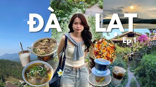 ĐÀ LẠT VLOG🌲 EP 1 | CHUYẾN ĐI CHỮA LÀNH CỦA MÌNH - 4 ngày 3 đêm tại thành phố mộng mơ