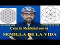 EJERCICIO SEMILLA de laVIDA. Crea tu Realidad con GEOMETRÍA SAGRADA.