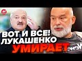 🤯ШЕЙТЕЛЬМАН: Есть все признаки! Лукашенко ПОСЛЕДНИЙ РАЗ встретился с Путиным на саммите ОДКБ