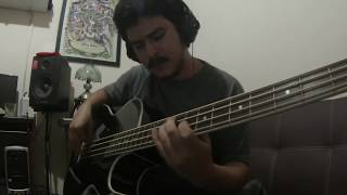 Washburn AB10 Acoustic Bass Review