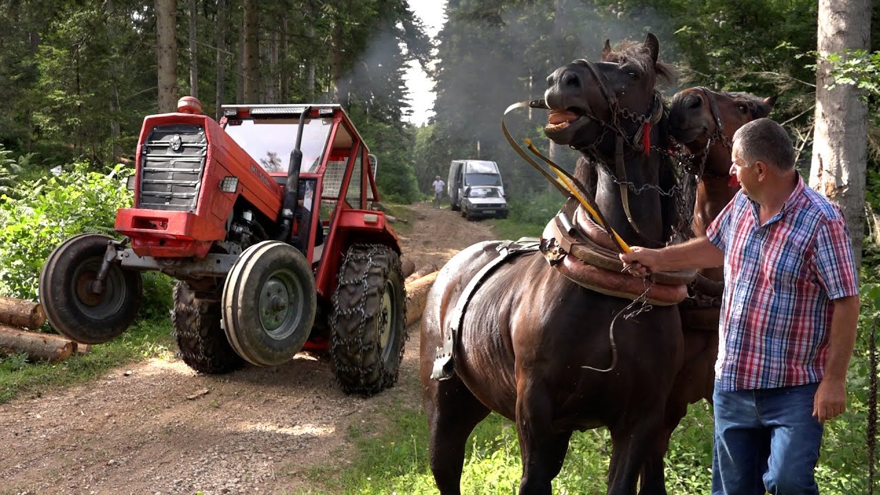 MOBA KOD DRAGANA BOROVČANINA - SOKOLAC 2024 !!!