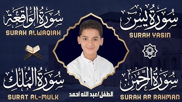 عبدالله أحمد شعبان تلاوة هادئة تريح القلب 💚 | يس، الرحمن، الواقعة، الملك لزيادة الرزق والبركة