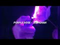 Purple Rose Jeonghan Sub Español IDEAL CUT SOLO Purple Rose Jeonghan Sub Español IDEAL CUT SOLO
