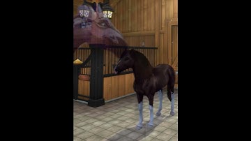 Don’t say her name….||old sso trend FW!#sso #shorts