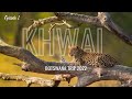 Return to khwai  botswana trip 2022  episode 1