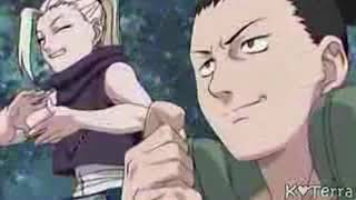 IF YOU COULD ONLY SEE | ShikaIno