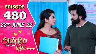 Anbe Vaa Serial  Episode 480  22nd June 2022  Virat  Delna Davis  Saregama TV Shows Tamil