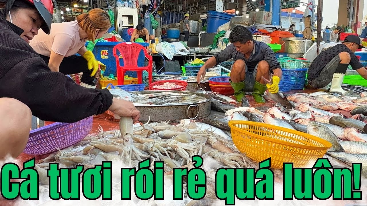 Chợ cá Bình Điền ngày 28/12/2025||Rất nhiều cá tươi và giá rẻ siêu rẻ!!